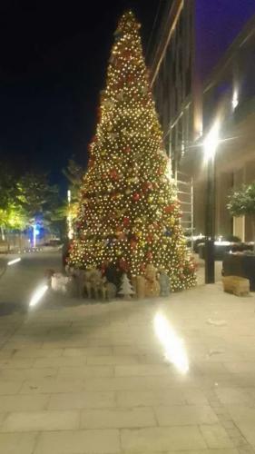 Новогодняя ёлка.  10 метров . Установка с гирляндами! — фото 3